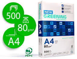 PAPEL A4 80g Papel 500 Folhas